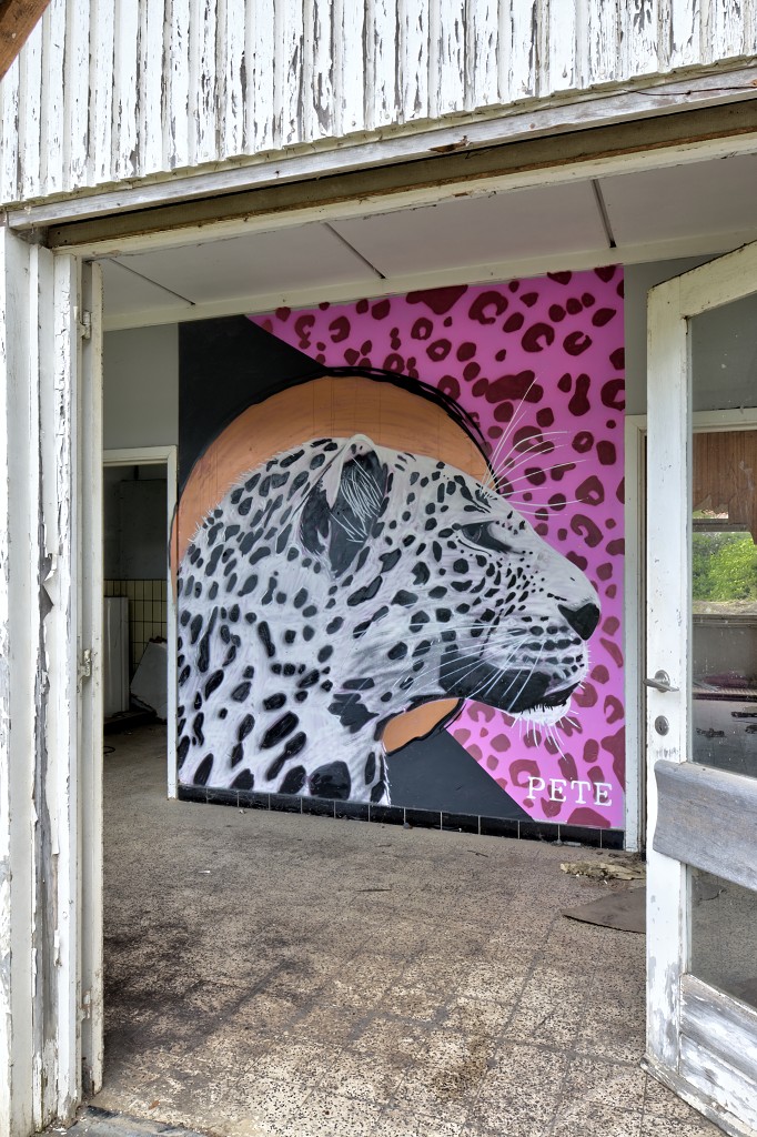 graffiti pete one urbex hdr art kunstwerk kunst mural murals belgie straatkunst